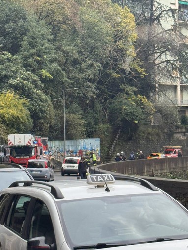 Foto di Ivan Salvador