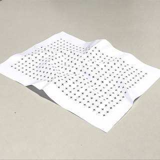 A Villa Croce inaugurazione di una nuova mostra nella project room dell’Accademia Ligustica