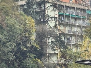 Foto di Ivan Salvador