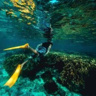 Italiani morti alle Maldive durante immersione, lo pneumologo: "Con concentrazioni elevate l’ossigeno diventa tossico"