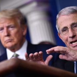Covid Usa, Fauci si avvale del quinto emendamento. Trump: "Sue idee folli"