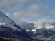 I corpi di cinque sciatori ritrovati sulle Alpi svizzere