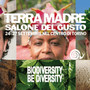 Ismea a Terra Madre 2026, olio di oliva e Indicazioni geografiche al centro del programma Ismea a Terra Madre 2026, olio di oliva e Indicazioni geografiche al centro del programma