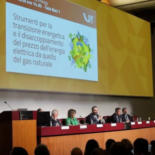 GSE, Vigilante “Contratti a lungo termine strumento contro volatilità dei prezzi”