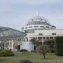 Scambio di embrioni al San Raffaele, riprende attività del centro di Medicina della Riproduzione