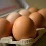 Uova proteggono il cervello, lo studio: "Consumo regolare riduce rischio di Alzheimer"