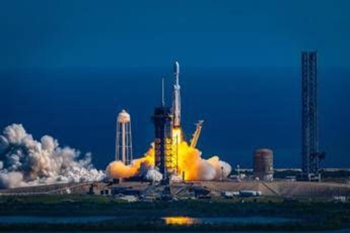 Il segreto per i viaggi nello spazio? I funghi di Chernobyl: la scoperta Il segreto per i viaggi nello spazio? I funghi di Chernobyl: la scoperta