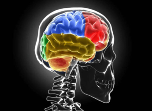 Sclerosi multipla, Bandiera (Aism): "Caregiver fondamentali ma ancora invisibili"