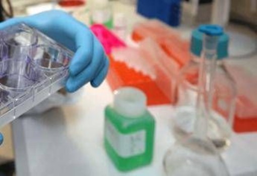 Giornata tumore seno metastatico, in Italia oltre 55mila donne con la malattia Giornata tumore seno metastatico, in Italia oltre 55mila donne con la malattia