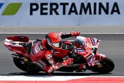 Marquez accelera, Bezzecchi e Fernandez cadono: cos'è successo in partenza in MotoGp Marquez accelera, Bezzecchi e Fernandez cadono: cos'è successo in partenza in MotoGp