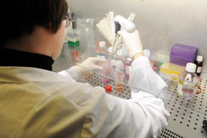 Medicina di laboratorio al top in Italia, Sibioc: "Nostri esperti riconosciuti tra eccellenze internazionali"