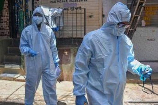 Virus Nipah in India, è allarme: come si trasmette e cura Virus Nipah in India, è allarme: come si trasmette e cura