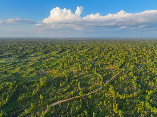 Dal deserto cinese di Mu Us al mondo, la storia della “guerriera della sabbia” Dal deserto cinese di Mu Us al mondo, la storia della “guerriera della sabbia”