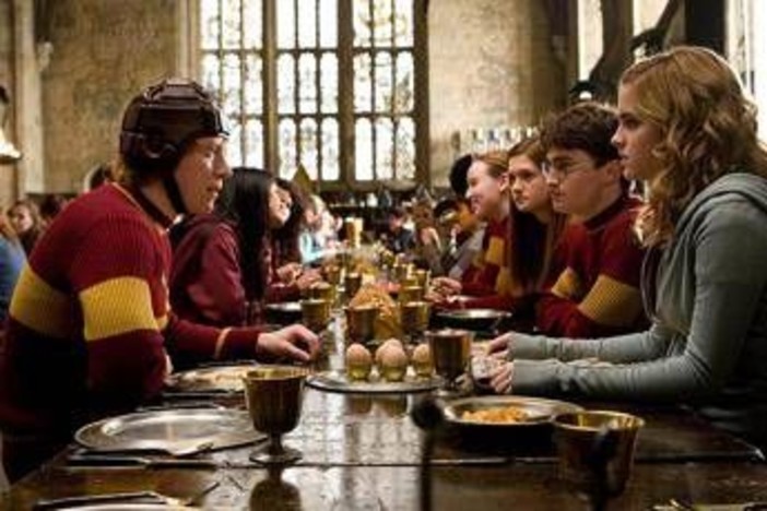 Harry Potter, la protesta dei fan: spostato il cavo sottomarino per la 'tomba' di Dobby