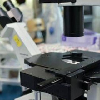 Così i tumori perdono il dono dell'invisibilità, la nuova strategia in una ricerca italiana