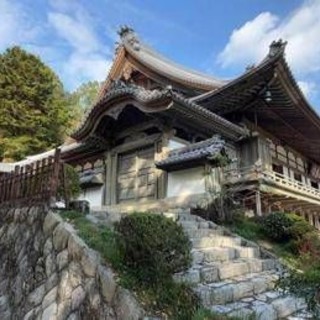Papa, la 'tristezza' dei monaci Zen delle montagne: anche il Giappone lo piange