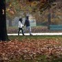 Sole e caldo anomalo fino a 20°C, poi cambia tutto: quando arriva il freddo Sole e caldo anomalo fino a 20°C, poi cambia tutto: quando arriva il freddo