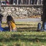 Arriva l'anticiclone, ponte del 1 maggio con sole e caldo: le previsioni meteo