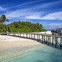 Tragedia alle Maldive, morti 5 italiani: chi sono le vittime