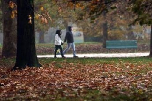 Sole e caldo anomalo fino a 20°C, poi cambia tutto: quando arriva il freddo Sole e caldo anomalo fino a 20°C, poi cambia tutto: quando arriva il freddo