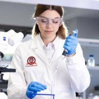 Università, 29 docenti UniCamillus nella 'World's Top 2% Scientists' Università, 29 docenti UniCamillus nella 'World's Top 2% Scientists'
