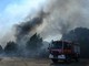 Spagna, 12 persone morte a causa di un incendio nel sud-est: alcune vittime trovate nelle auto Spagna, 12 persone morte a causa di un incendio nel sud-est: alcune vittime trovate nelle auto