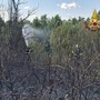 Roma, da via Pineta Sacchetti a Cinecittà: diversi incendi nella Capitale e dintorni Roma, da via Pineta Sacchetti a Cinecittà: diversi incendi nella Capitale e dintorni