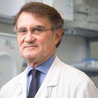 Italiana guarita dopo Lourdes, il neurologo: "Esperienza al limite dell'impossibile" Italiana guarita dopo Lourdes, il neurologo: "Esperienza al limite dell'impossibile"