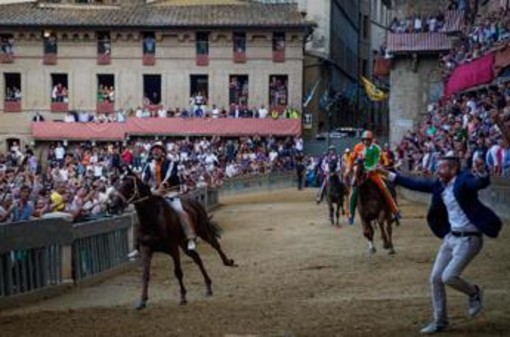 Palio di Siena oggi, orario e dove vederlo (in diretta): contrade, cavalli e fantini Palio di Siena oggi, orario e dove vederlo (in diretta): contrade, cavalli e fantini