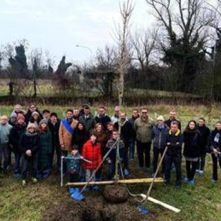 KilometroVerdeParma celebre traguardo storico, piantato 100.000esimo albero