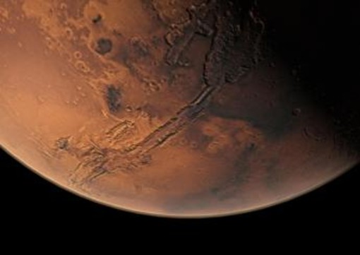 Tutti i segreti nella dieta degli astronauti, un'alga dalla Sardegna per conquistare Marte Tutti i segreti nella dieta degli astronauti, un'alga dalla Sardegna per conquistare Marte