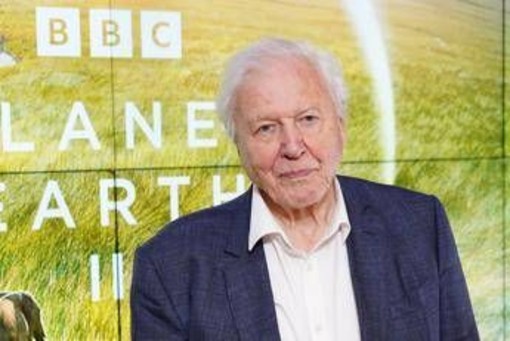 David Attenborough compie 100 anni e riceve un regalo speciale dal Museo di Storia Naturale