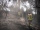 Israele ancora in fiamme, Netanyahu: &quot;18 arresti per sospetto incendio doloso&quot;