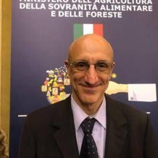 Lucano (Miele Lunigiana Dop): "Con Dop e Igp garanzia di tracciabilità"