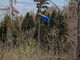 Cade con il parapendio e resta sospesa su un albero a 30 metri da terra Cade con il parapendio e resta sospesa su un albero a 30 metri da terra