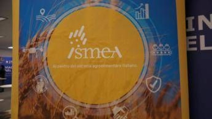 Vinitaly, vino italiano leader: focus su mercati esteri e nuovo bando OCM Promozione Vinitaly, vino italiano leader: focus su mercati esteri e nuovo bando OCM Promozione