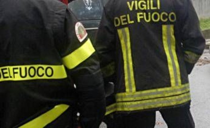 Maltempo a Roma, albero cade su auto all'Eur: un ferito