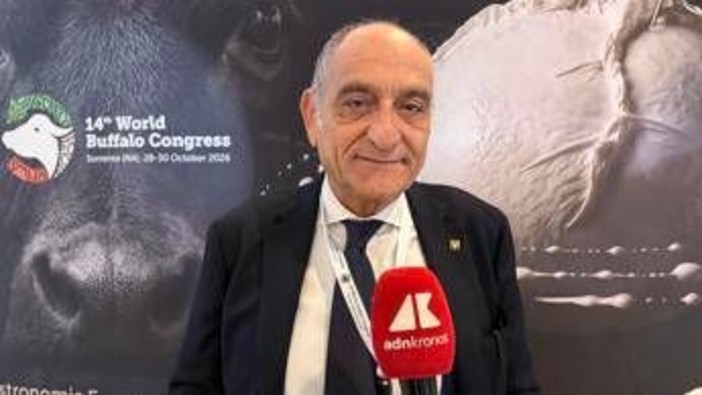 Campanile (Buffalo Federation), "Robotica e genomica cambieranno l'allevamento" Campanile (Buffalo Federation), "Robotica e genomica cambieranno l'allevamento"