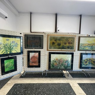 Recco, alla Sala Consiliare la mostra personale di Wilma Bitossi