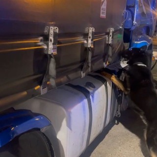 Sequestrati 85 kg di droga al porto di Civitavecchia, arrestato autista bulgaro