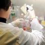 Bambina morta a Palermo, Istituto Superiore di Sanità: "Campione positivo al batterio della difterite"