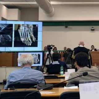 Regeni, il pm: "Corpo di Giulio spezzato dal dolore, Egitto ha protetto gli aguzzini"