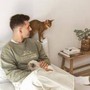 Animali, da Ultima campagna Amore Animale e sostegno a Enpa