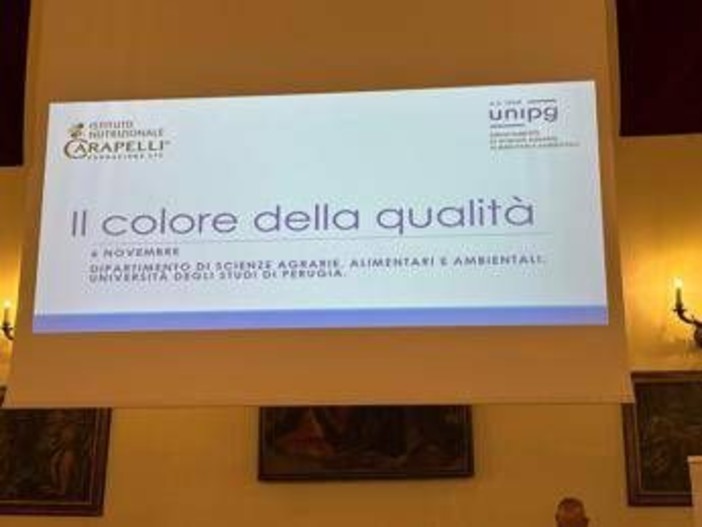 Olio, Inc: "Nuove evidenze scientifiche per preservare qualità evo in bottiglia"