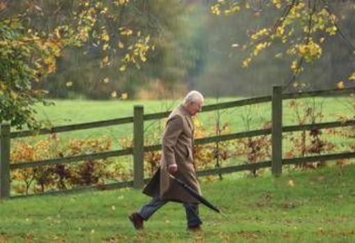 Non solo la vasca di letame, il parco di Sandringham diventa rischioso per i cani