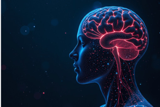 Estate, i consigli dei neurologi per la salute del cervello in vacanza Estate, i consigli dei neurologi per la salute del cervello in vacanza