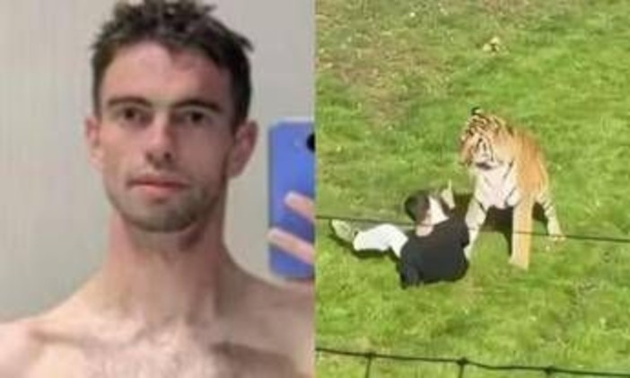 Morto dopo essere stato aggredito da una tigre in un parco, identificata la vittima: chi era William Chapman Morto dopo essere stato aggredito da una tigre in un parco, identificata la vittima: chi era William Chapman