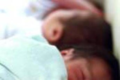 Neonati prematuri uccisi da batterio a Bolzano, cos'è il Serratia marcescens Neonati prematuri uccisi da batterio a Bolzano, cos'è il Serratia marcescens