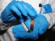 Hantavirus, test negativo per la persone in isolamento in Veneto Hantavirus, test negativo per la persone in isolamento in Veneto