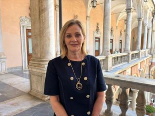 Paraguay: ambasciatrice in Italia: "Il Paese ha molto da offrire a Europa su piano economico" Paraguay: ambasciatrice in Italia: "Il Paese ha molto da offrire a Europa su piano economico"